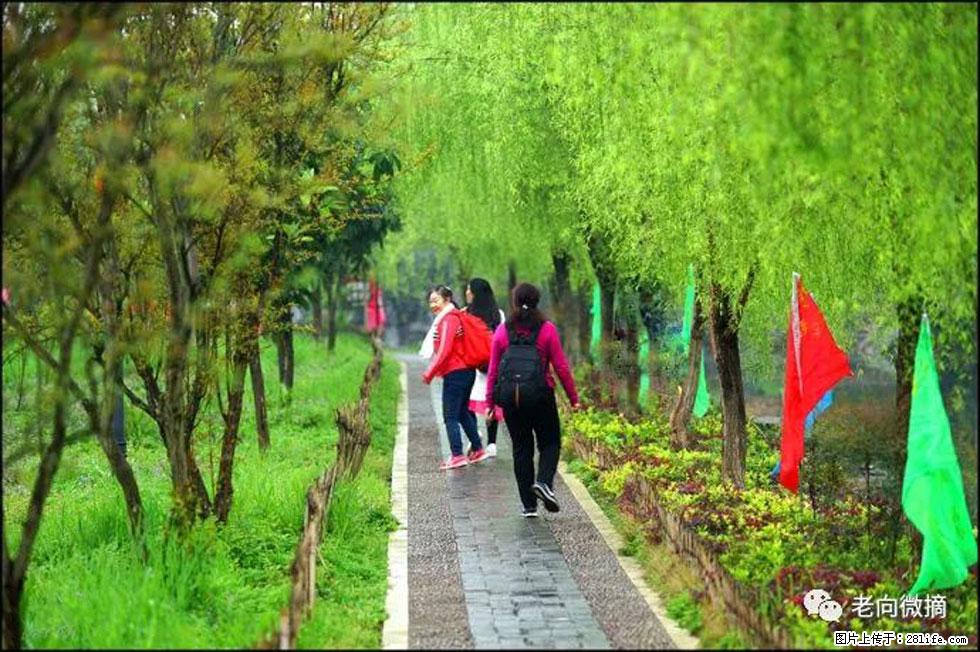 【春天,广西桂林灌阳县向您发出邀请!】江口老街又逢春 - 游山玩水 - 黔南生活社区 - 黔南28生活网 qn.28life.com