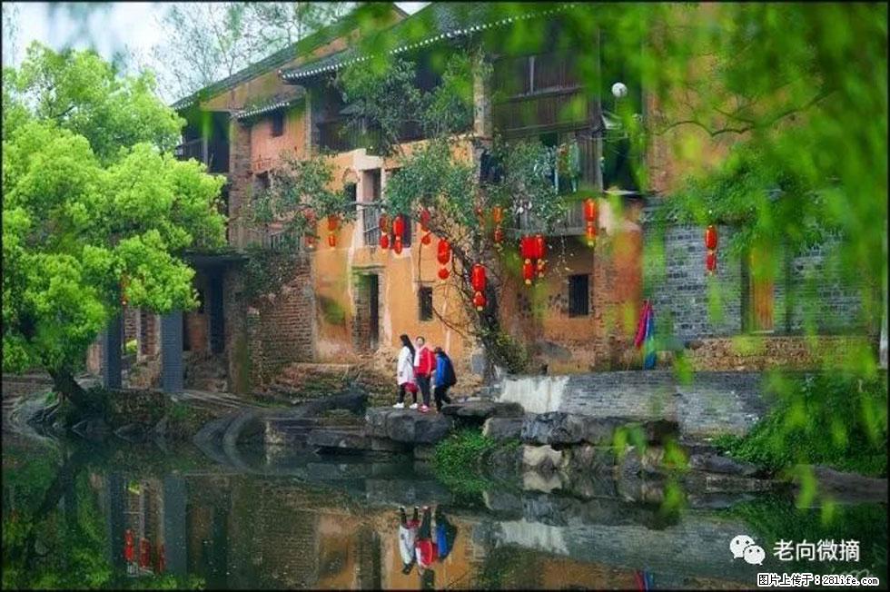【春天,广西桂林灌阳县向您发出邀请!】江口老街又逢春 - 游山玩水 - 黔南生活社区 - 黔南28生活网 qn.28life.com