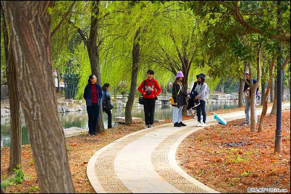 【春天,广西桂林灌阳县向您发出邀请!】江口老街又逢春 - 游山玩水 - 黔南生活社区 - 黔南28生活网 qn.28life.com