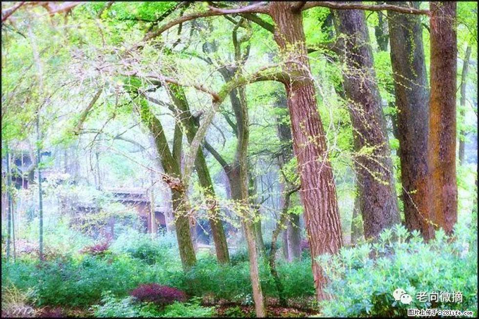 【春天，广西桂林灌阳县向您发出邀请！】在小龙村与春天约会 - 游山玩水 - 黔南生活社区 - 黔南28生活网 qn.28life.com