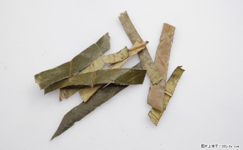 苦丁茶有哪些功效和作用 - 生活百科 - 黔南生活社区 - 黔南28生活网 qn.28life.com