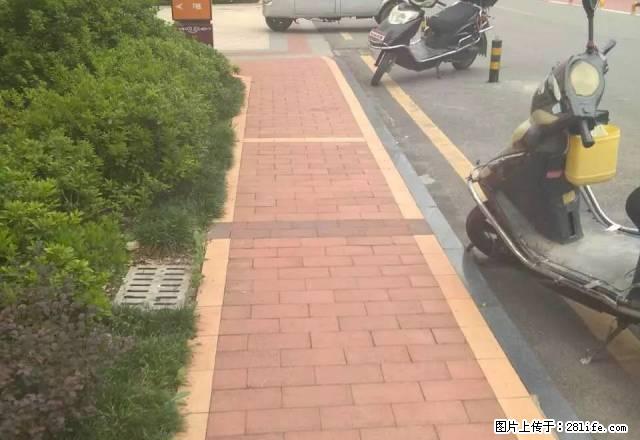 看河边 户型适用 环境好 - 房屋出租 - 房屋租售 - 黔南分类信息 - 黔南28生活网 qn.28life.com