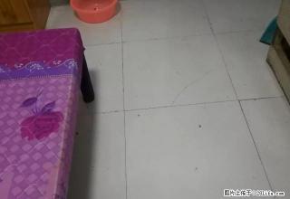 二小旁观天下单身公寓出租 - 黔南28生活网 qn.28life.com
