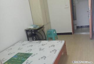大十字中鑫大厦单间住房出租 - 黔南28生活网 qn.28life.com