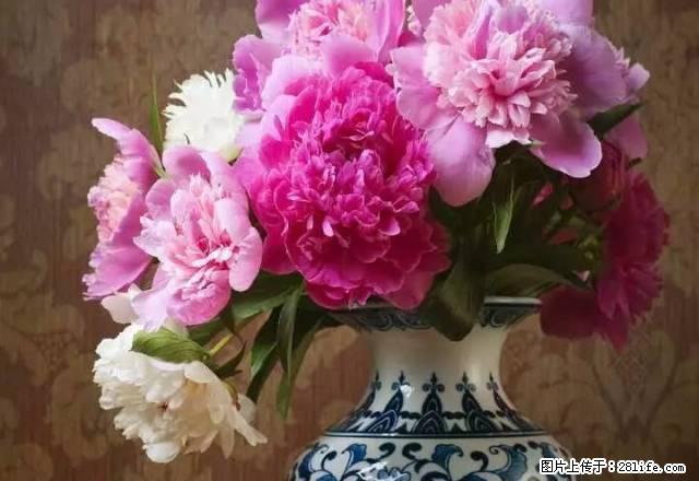 经典好房,不要错过,机会难得。 - 房屋出租 - 房屋租售 - 黔南分类信息 - 黔南28生活网 qn.28life.com