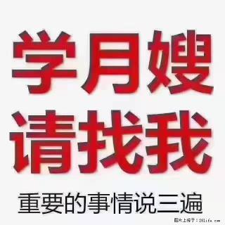 【招聘】月嫂,上海徐汇区 - 黔南28生活网 qn.28life.com