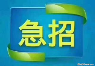 招出纳8000元/月，无证可以，要有相关经验，上海五险一金，包住，包工作餐，做六休一。 - 黔南28生活网 qn.28life.com