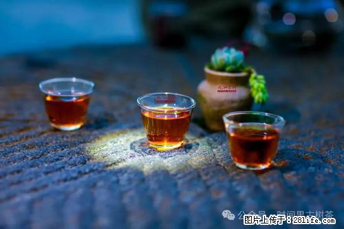 时间果百年古树2025年春红茶 - 购物交流 - 黔南生活社区 - 黔南28生活网 qn.28life.com