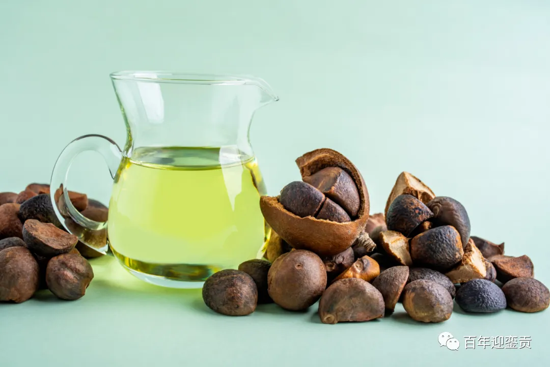 世界没有真相，只有认知，最好的食用油是中国的山茶油！ - 黔南生活资讯 - 黔南28生活网 qn.28life.com