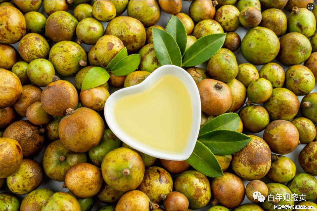 世界没有真相，只有认知，最好的食用油是中国的山茶油！ - 黔南生活资讯 - 黔南28生活网 qn.28life.com