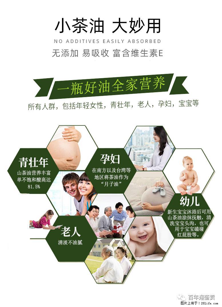 世界没有真相，只有认知，最好的食用油是中国的山茶油！ - 黔南生活资讯 - 黔南28生活网 qn.28life.com