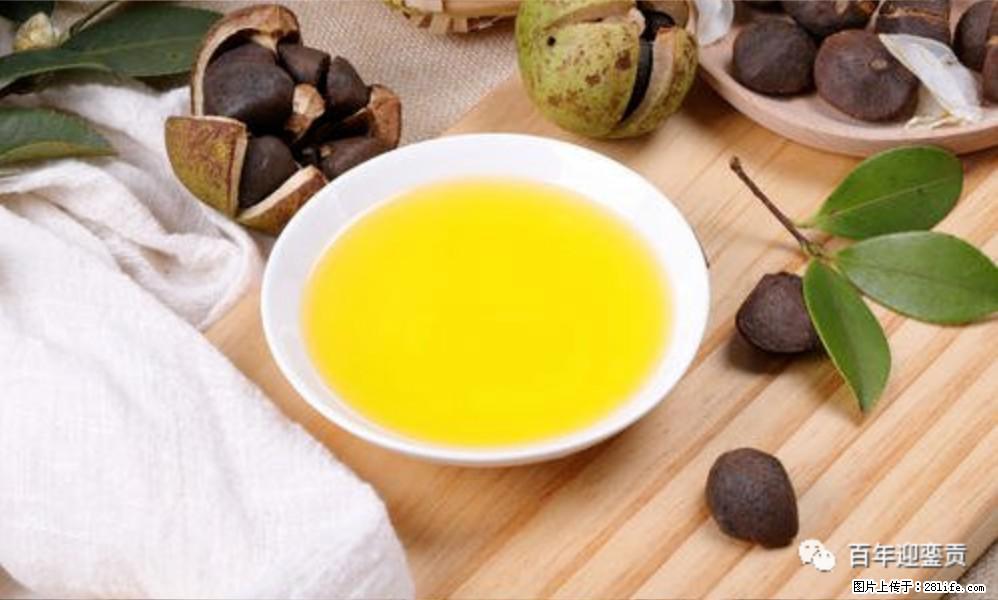 世界没有真相，只有认知，最好的食用油是中国的山茶油！ - 黔南生活资讯 - 黔南28生活网 qn.28life.com