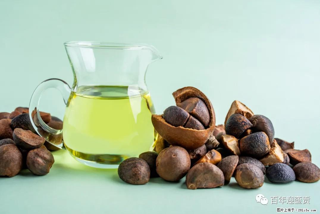 世界没有真相，只有认知，最好的食用油是中国的山茶油！ - 黔南生活资讯 - 黔南28生活网 qn.28life.com