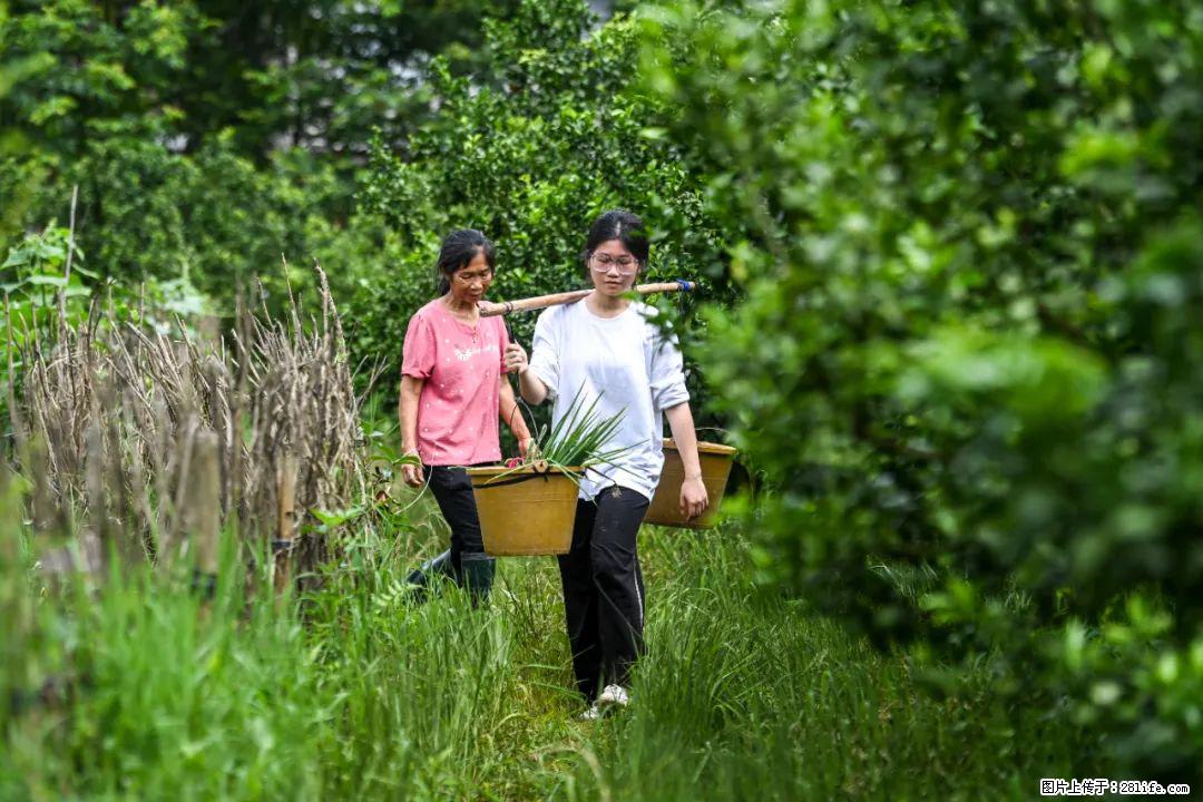 全网追的“扁担女孩”，找了一份暑假工，时薪12元 - 黔南生活资讯 - 黔南28生活网 qn.28life.com