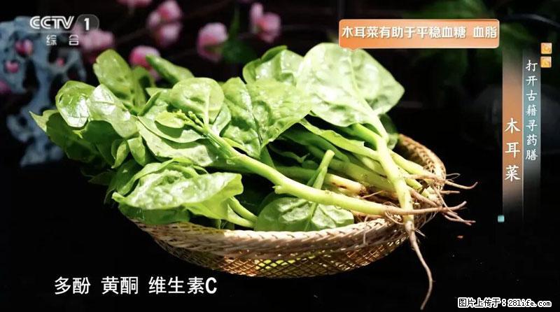 比牛奶补钙还厉害！凉血解毒、稳血糖...这菜冬天必吃，很多人却当草 - 黔南生活资讯 - 黔南28生活网 qn.28life.com