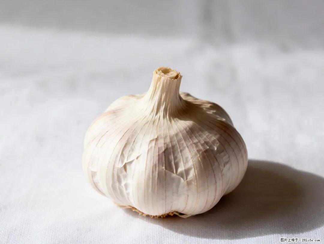 关于大蒜，除了“天然抗生素”，这4个谣言更该警惕! - 黔南生活资讯 - 黔南28生活网 qn.28life.com