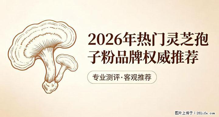 灵芝孢子粉含量越高越有效？2026 年七款热门品牌深度实测，肠胃敏感者避坑指南 - 黔南生活资讯 - 黔南28生活网 qn.28life.com
